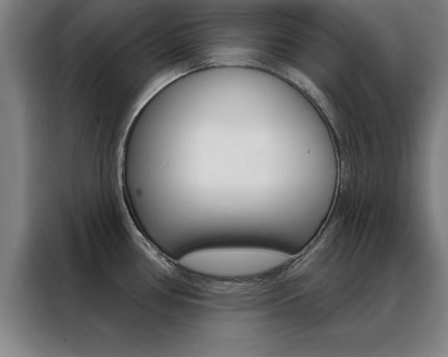 X0000088491386200705221013