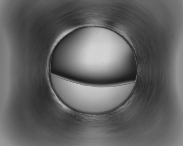 X0000088491387200705221013