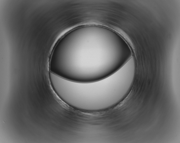 X0000088491388200705221013