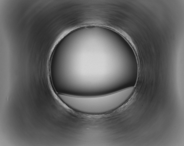 X0000088491389200705221013