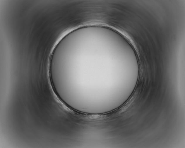 X0000088491390200705221013