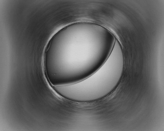 X0000088491391200705221013