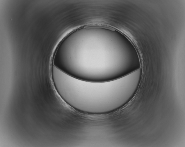 X0000088491392200705221013