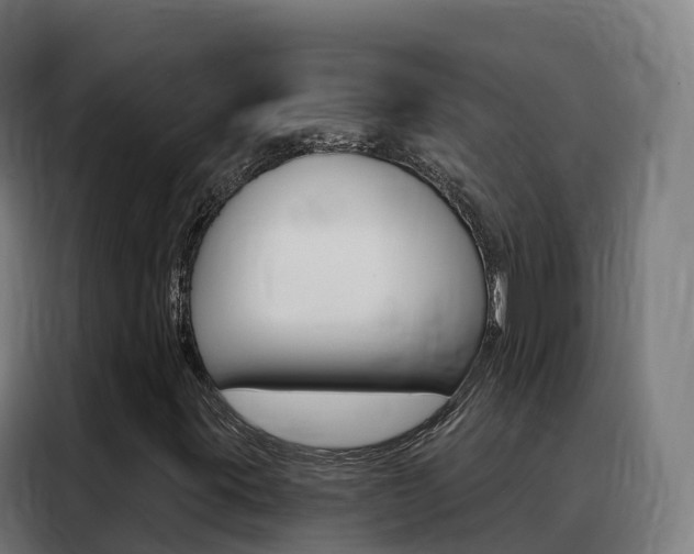 X0000088491395200705221012