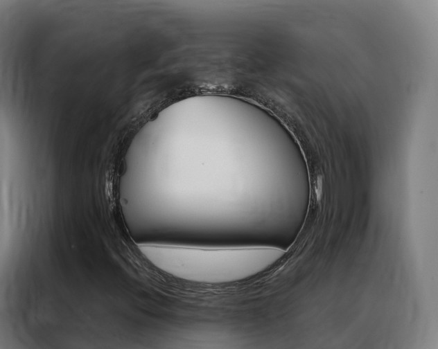 X0000088491396200705221012