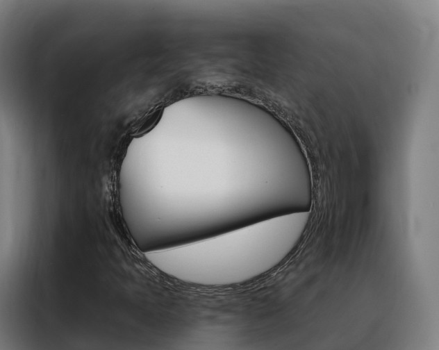 X0000088491397200705221012