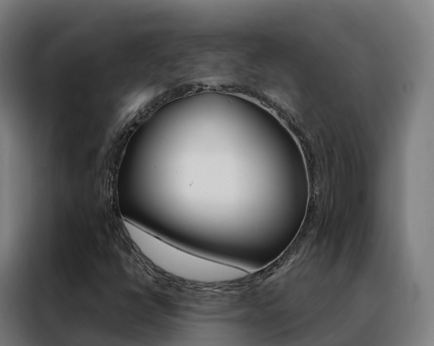 X0000088491398200705221012