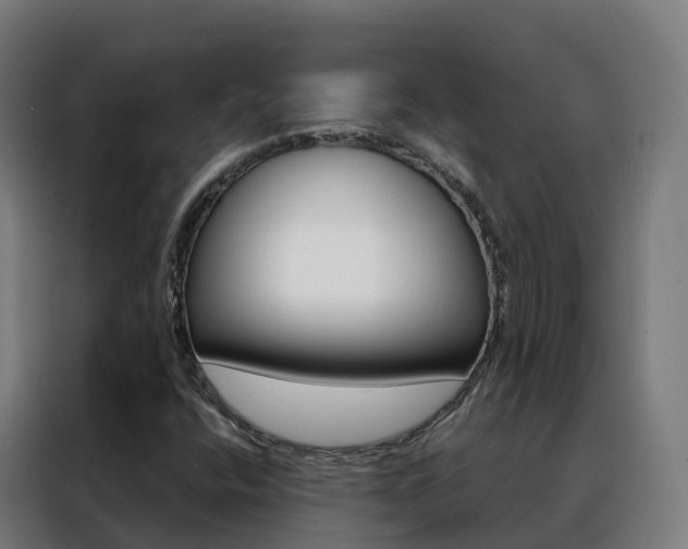 X0000088491400200705221012