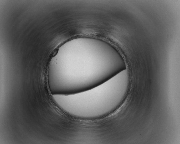 X0000088491401200705221012