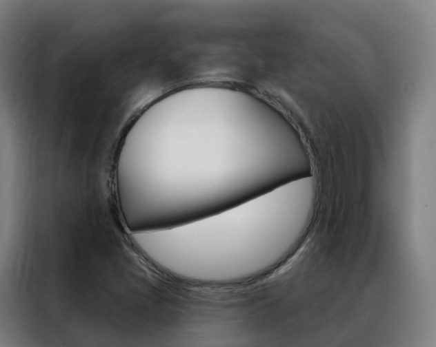 X0000088491405200705221012