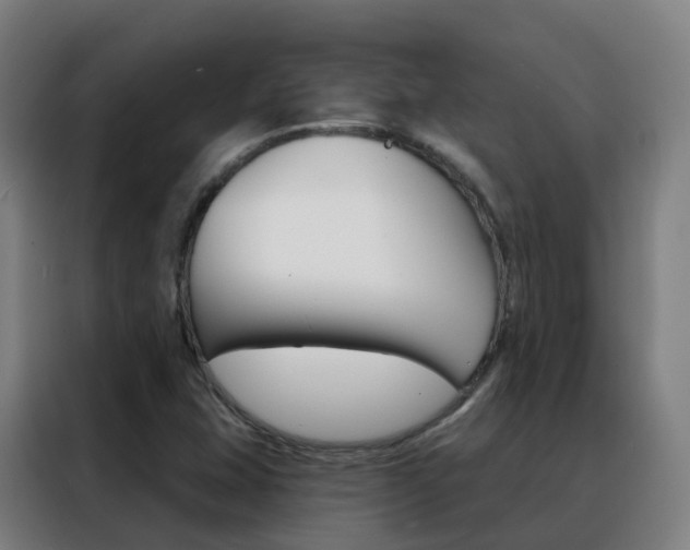 X0000088491407200705221012