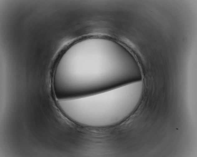 X0000088491408200705221012