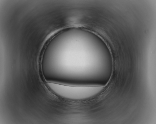 X0000088491412200705221012