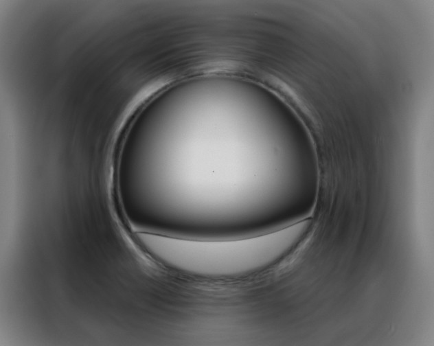 X0000088491418200705221013