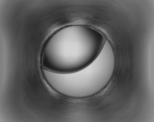X0000088491422200705221013