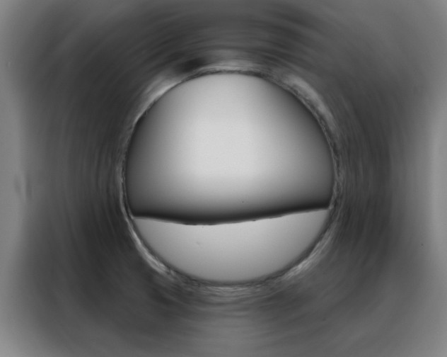 X0000088491425200705221013