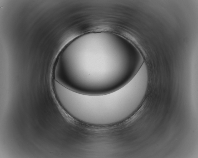 X0000088491426200705221013