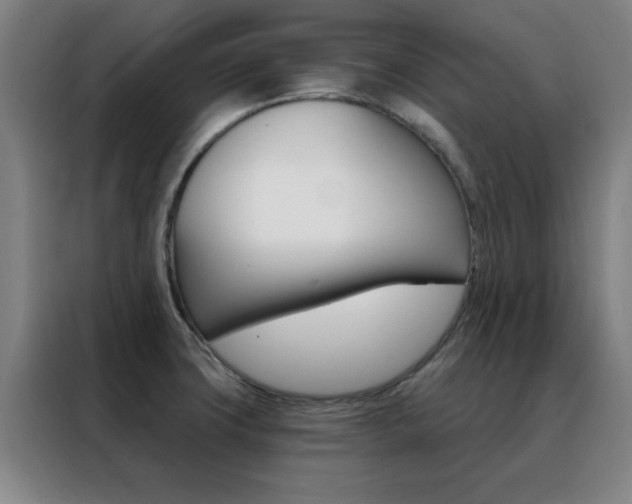 X0000088491427200705221013