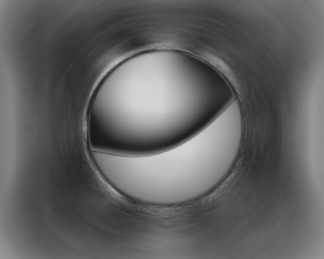 X0000088491428200705221013