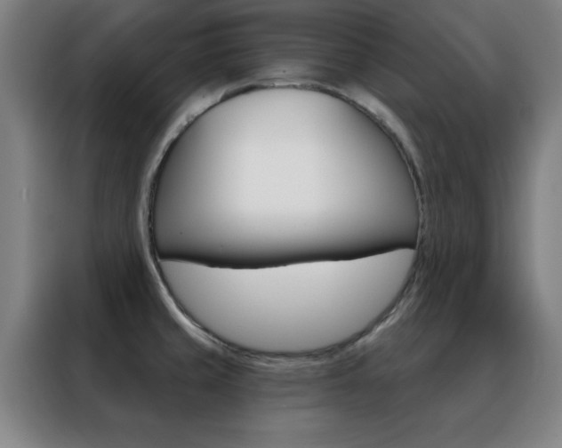 X0000088491429200705221013