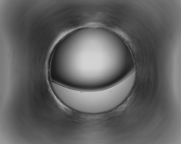 X0000088491430200705221013