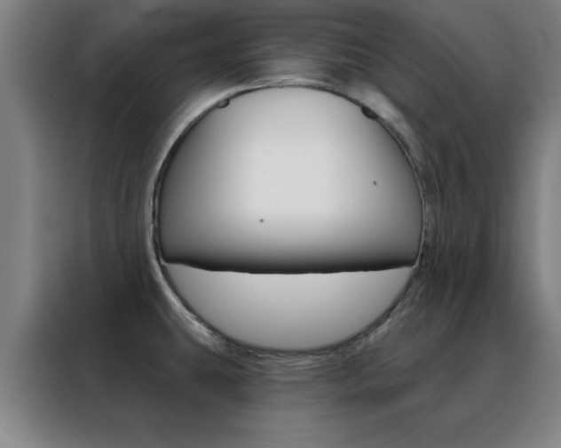 X0000088491431200705221013
