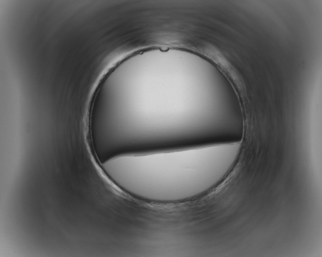 X0000088491432200705221013