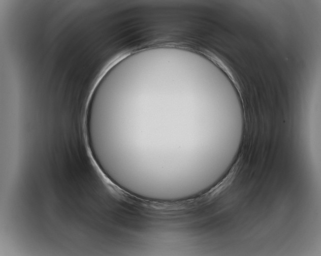 X0000088491434200705221013
