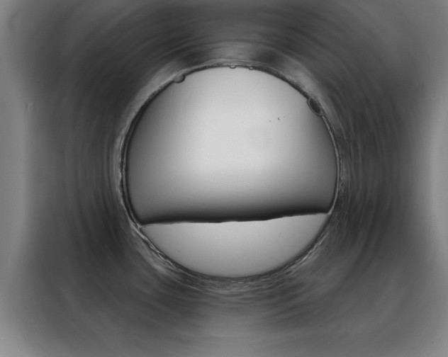 X0000088491435200705221013