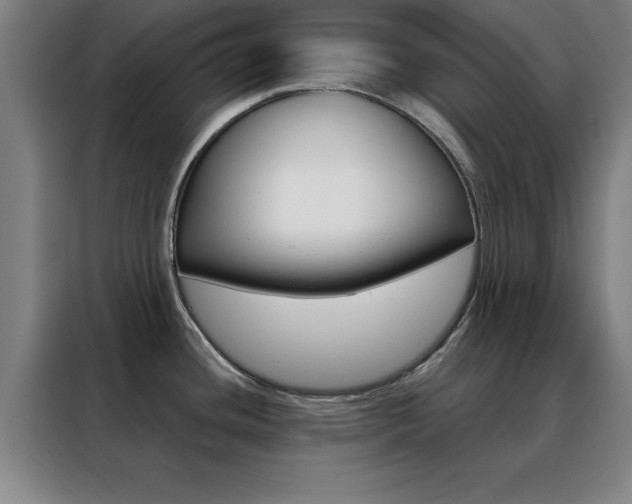 X0000088491436200705221013