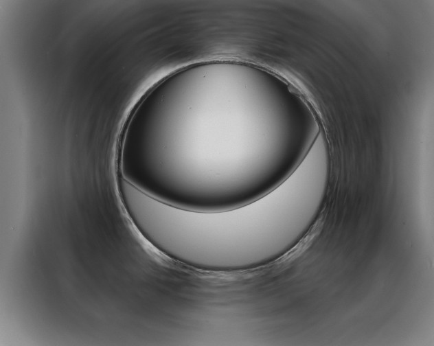 X0000088491438200705221013