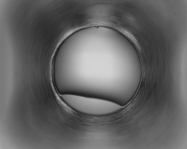 X0000088491439200705221013