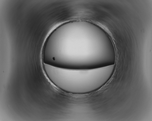 X0000088491440200705221013