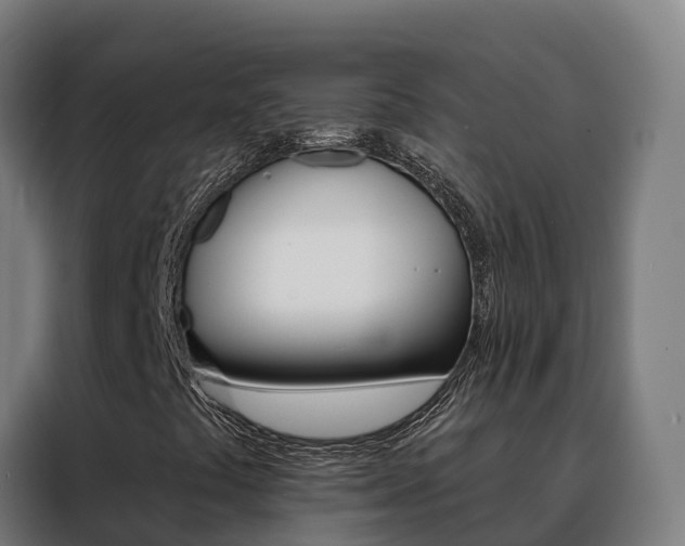 X0000088491441200705221012
