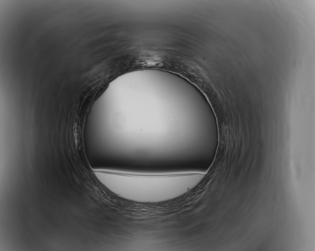 X0000088491442200705221012