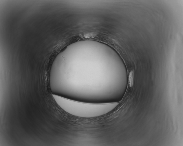 X0000088491443200705221012