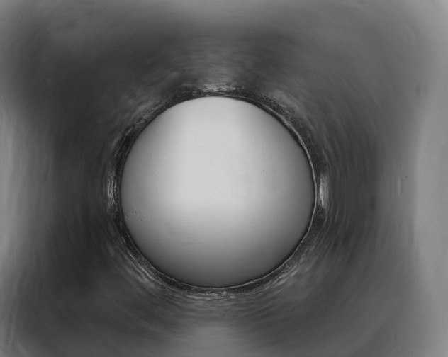 X0000088491444200705221012
