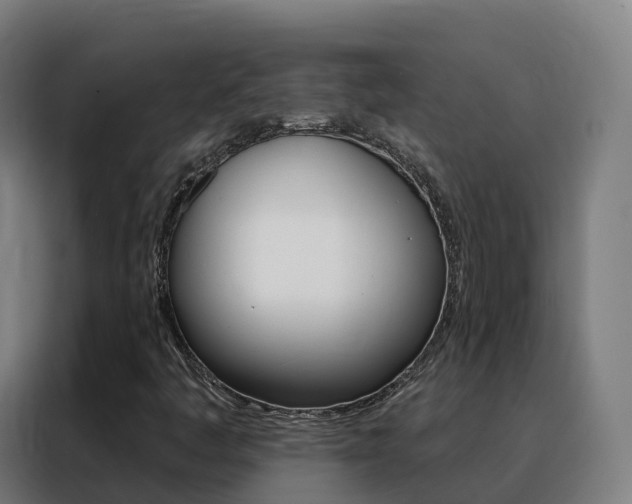 X0000088491445200705221012