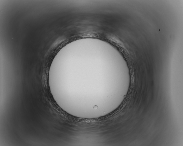 X0000088491446200705221012