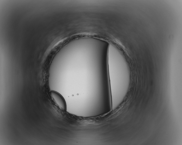 X0000088491448200705221012