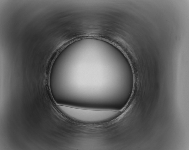 X0000088491449200705221012