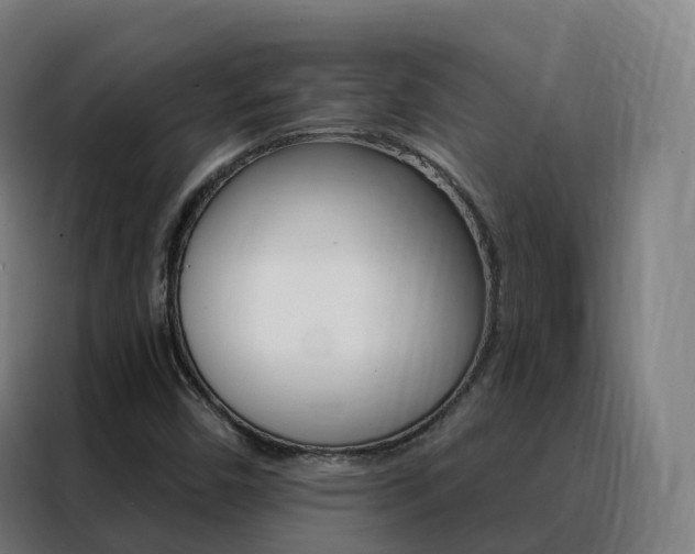 X0000088491450200705221012