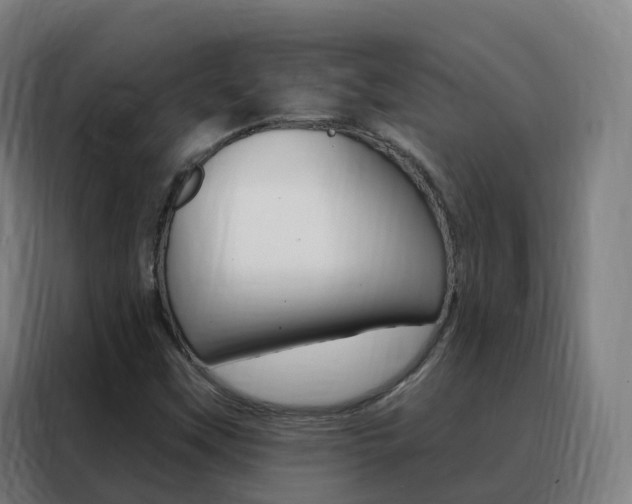 X0000088491451200705221012