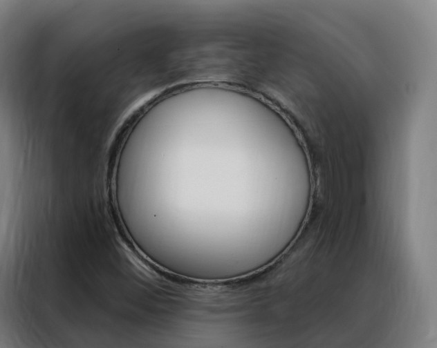 X0000088491452200705221012