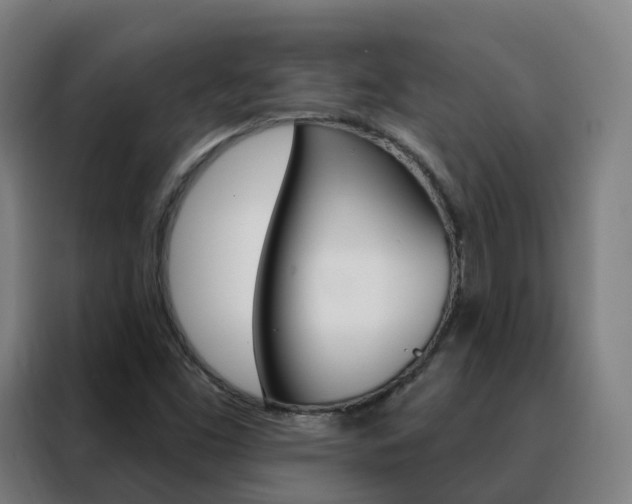 X0000088491453200705221012