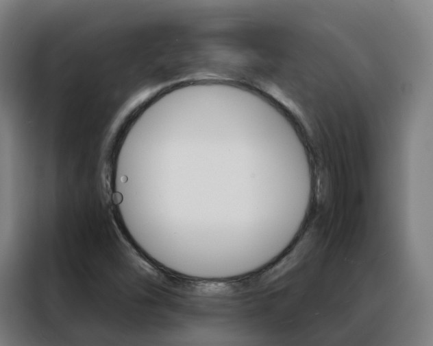 X0000088491454200705221012