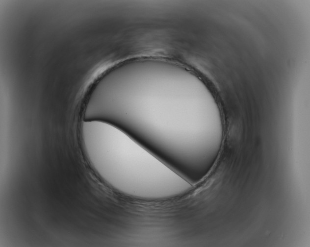 X0000088491455200705221012