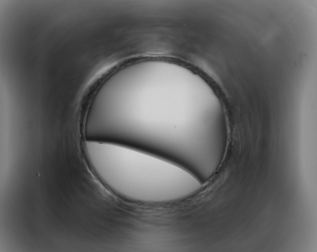 X0000088491456200705221012