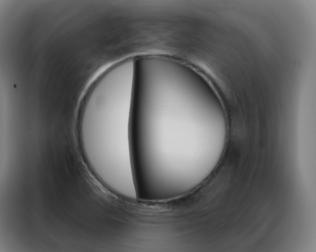 X0000088491460200705221012