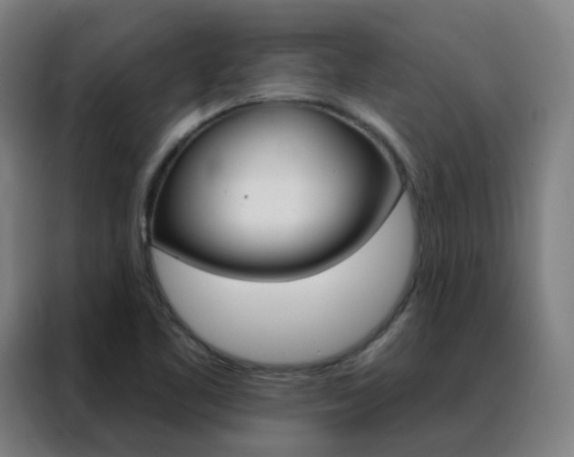 X0000088491461200705221012